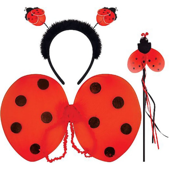 Ladybird Kit