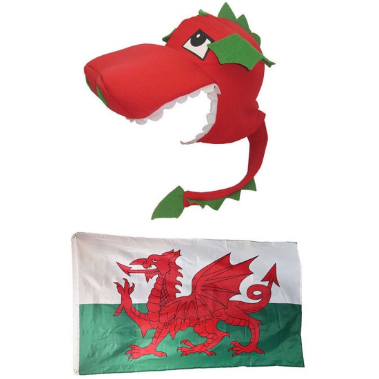 Welsh Flag And Dragon Hat