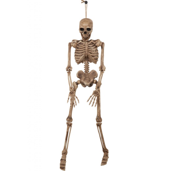 Skeleton 106cm