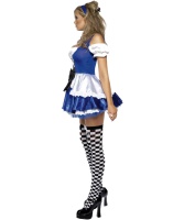Image of Alice Costume