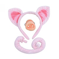 Picture of Pig Set with Tutu 