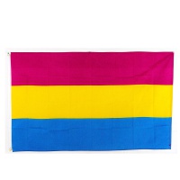 Picture of Pansexual Pride Flag 