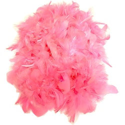 Feather Boa - Pink