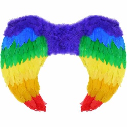 Rainbow Feather Wings