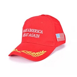 Make America Great Again Hat