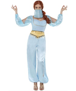 Arabian Princess Costume
