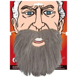 Mens beard - Grey
