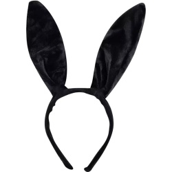 Black Rabbit Ears