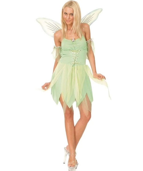 Neverland Fairy Costume 