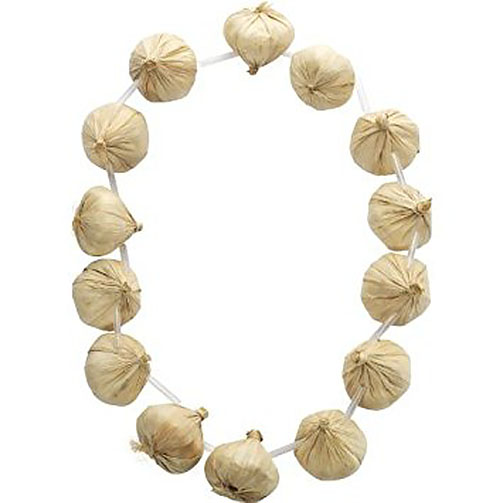 Garlic Necklace