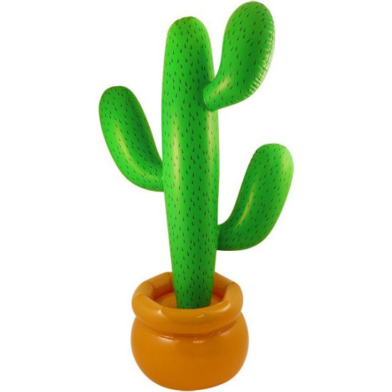 Inflatable Cactus