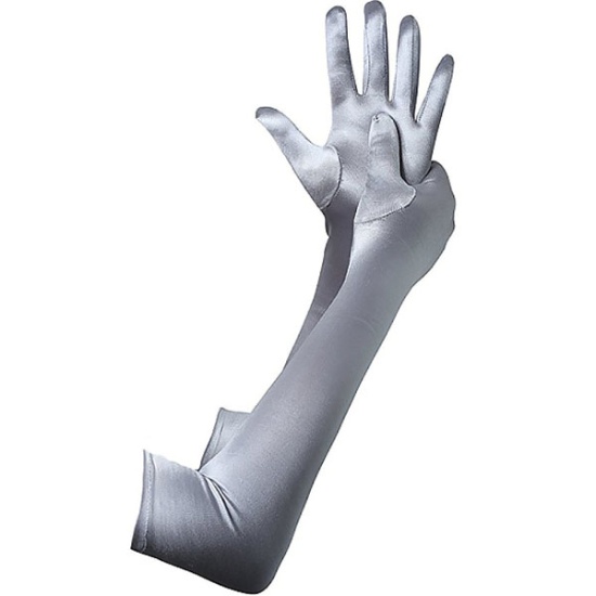 Long Gloves (Silver)