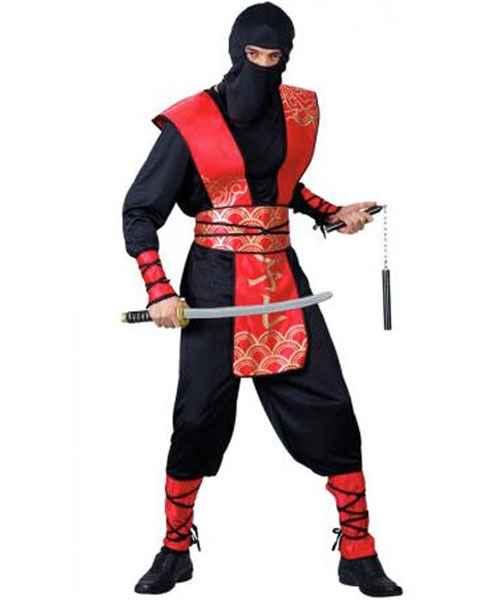 Ninja Master Costume