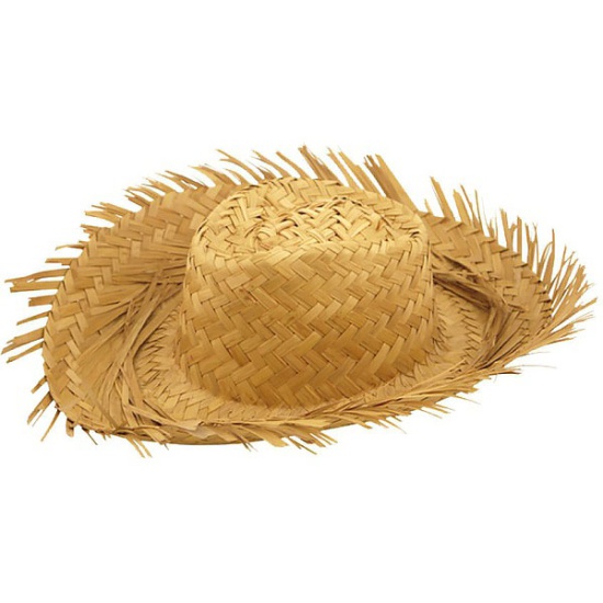 Straw Beachcomer Hat