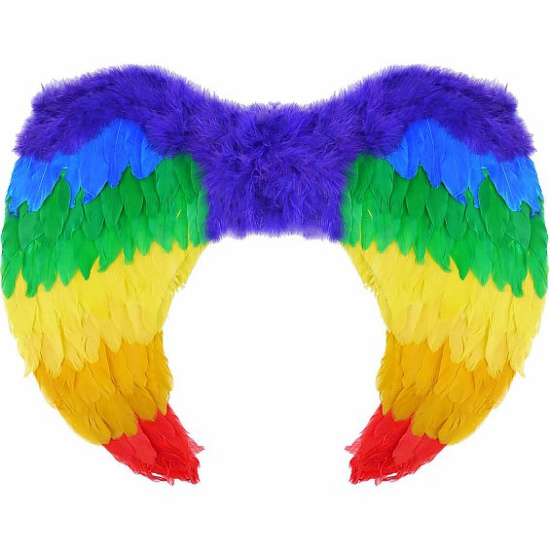 Rainbow Feather Wings