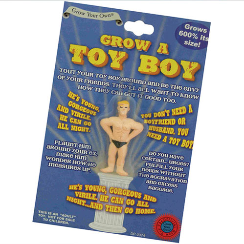 Grow A Toyboy
