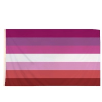 Picture of Lesbian Pride Flag 