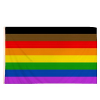 Picture of 8 Colour Gay Pride Flag 